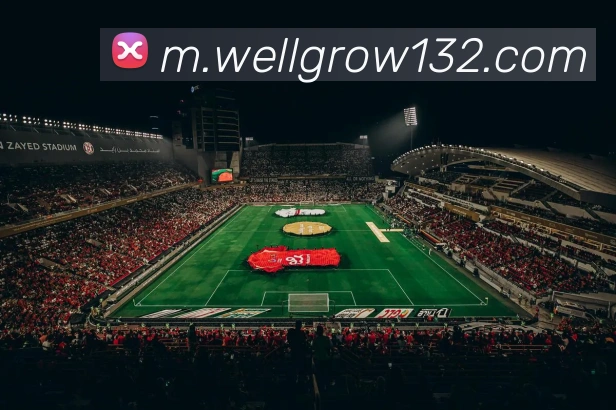 华体会官网登录入口APP 封面图